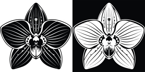 Elegant orchid flower design in black and white, perfect for modern branding and artistic projects © merry