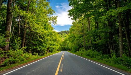 Fototapeta premium Scenic forest road, vibrant green trees, clear blue sky