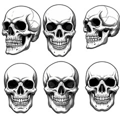 Collection of Realistic Black and White Skulls with Detailed Features for Gothic or Horror Themes