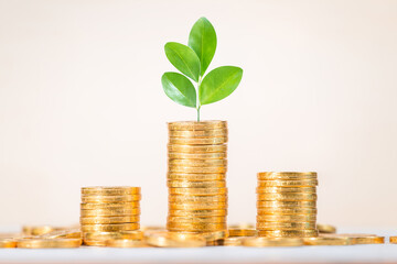 Saving, Business grow up concept background