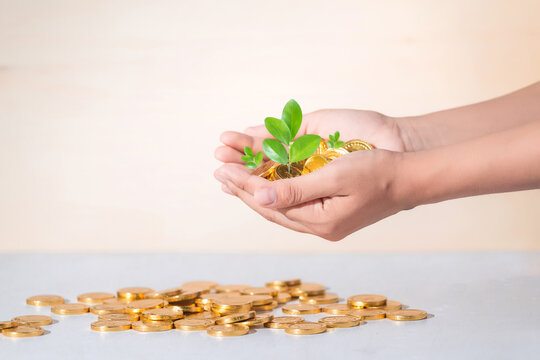coins in hand, saving, Business grow up concept