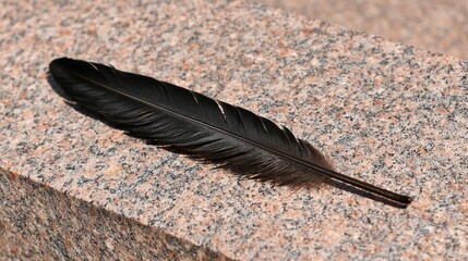Dark black bird feather on granite stone