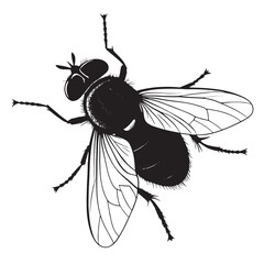 black hoverfly Silhouette Vector, High Quality Illustration on White Background