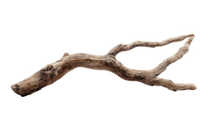 A weathered, forked branch, light tan/gray tones, isolated