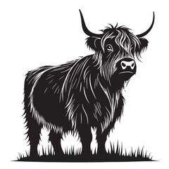 black highland cow Silhouette Vector, High Quality Illustration on White Background