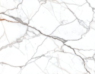 Obraz premium White marble texture with grey and brown veining