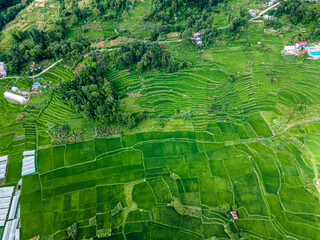 Aerial view of green paddy farmland in Nepal.