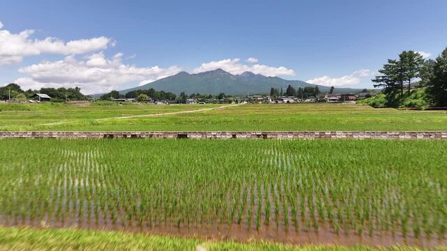 水田と山