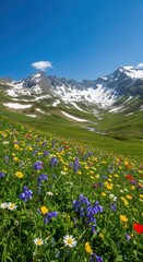 Fototapeta premium Alpine Meadow in Spring with Blooming Wildflowers and Snow Melting on Distant Mountains