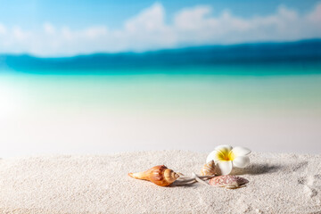 beach background, summer background concept