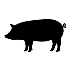 Fototapeta premium wild boar vector illustration
