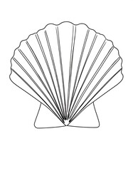 Simple seashell drawing