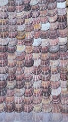 roof tiles in thailand