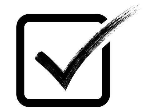 Black checkmark inside square checkbox, hand-painted brush stroke style, PNG with transparent background, minimal confirmation or validation icon