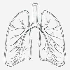 Human lungs line art.