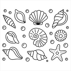 Seashell and Starfish Vector Illustration Ocean Marine Line Art for Coloring Pages