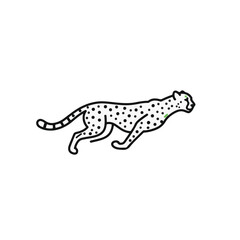 Fototapeta premium A cheetah gracefully in motion, captured in elegant line art.
