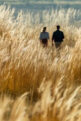 Office colleagues strolling past tall grasses in an open meadow The sound of rustling leaves surrounds them The mood feels freeing and light, Generative AI 