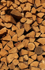 Equally chopped hardwood firewood is dried in the sun vertical stock photo 
