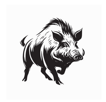 Wild boar  image vector. wild boar black and white vector on white background