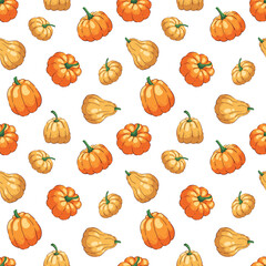 Autumn pattern with different-shaped pumpkins, autumn illustration, and the concept of harvesting