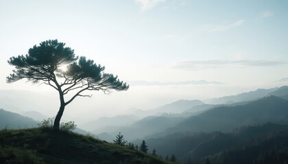 Lone tree standing on a grassy hill overlooking majestic rolling forested mountains under a hazy and tranquil pale blue sky