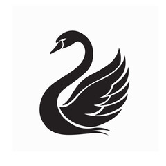 Graceful Swan Vector Simple Elegant Illustration on white background