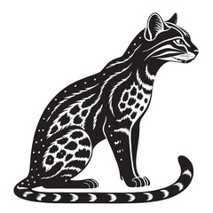 black margay Silhouette Vector, High Quality Illustration on White Background