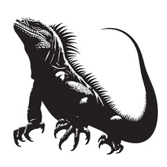 black Marine Iguana Silhouette Vector, High Quality Illustration on White Background