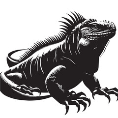 black Marine Iguana Silhouette Vector, High Quality Illustration on White Background