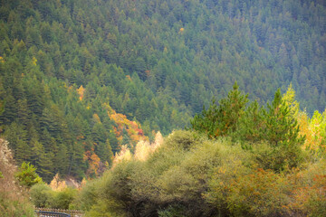 autumn in the mountains