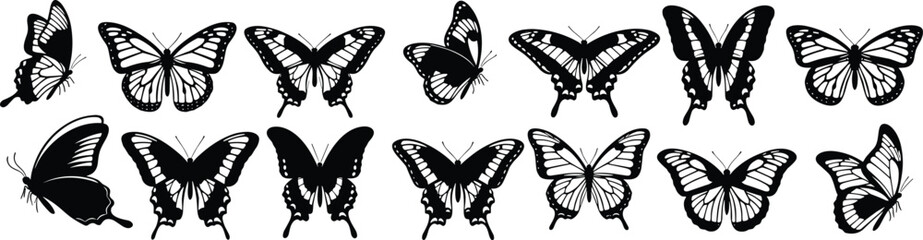 Silhouettes of multiple butterfly species, intricate wing patterns, black and white design, variety of shapes, insect collection, vector illustration for art