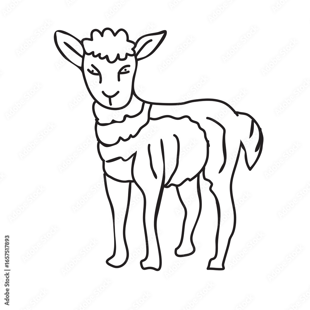 Poster lamb icon isolated flat vector in outline vector illustration for web and app on white..eps