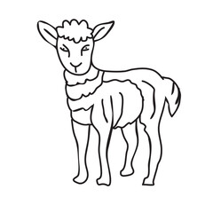 Lamb icon Isolated flat vector in outline vector illustration for web and app on white..eps