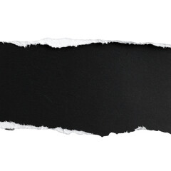 Obraz premium Torn and ripped paper textures with blank space and frayed edges for design backgrounds