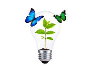 Earth Day Symbol – Light Bulb with Plant and Butterflies on Green Gradient Background