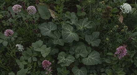 Secret Garden's Whisper