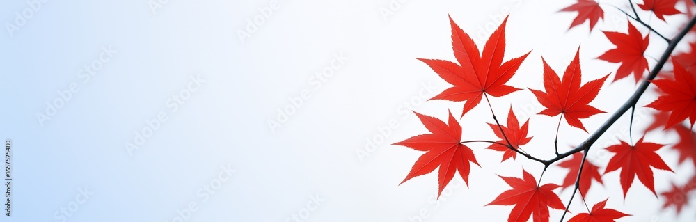 Poster red maple leaves on branch with soft gradient background and empty space for design or promotion con