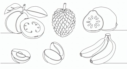Obraz premium Minimalist continuous line art drawing of diverse tropical fruits, an elegant illustration celebrating healthy eating and natural freshness with artistic simplicity.
