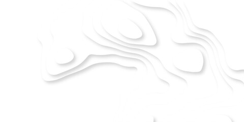 Abstract Luxury diamond creative topography map background. vector natural shadow papercut web topography map spiral line white light dynamic smooth cover origami papercut texture.