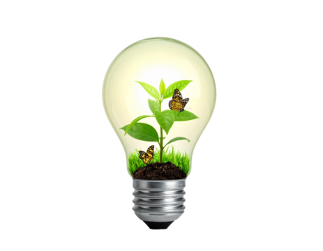  Light Bulb Terrarium with Two Butterflies and Leaves, Eco Recycling Concept