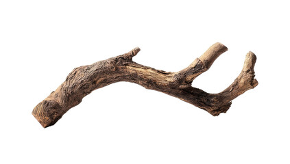 Close-up of a weathered, forked piece of driftwood.  It curves gently
