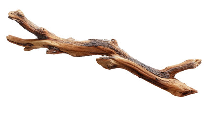Close-up of a naturally-shaped, light brown twig or branch with two diverging ends, displaying wood grain and subtle variations in color