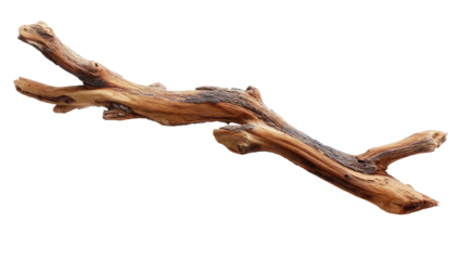 Close-up of a naturally-shaped, light brown twig or branch with two diverging ends, displaying wood grain and subtle variations in color