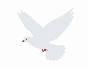 White Dove in Flight, Symbol of Peace.