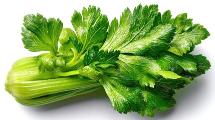 Vertical celery stalks on pure white, axial ridges reflecting luminosity for certified fiber biomechanics & blood pressure modulation