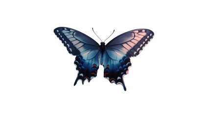 Fototapeta premium Elegant blue butterfly with intricate wing patterns isolated on transparent background