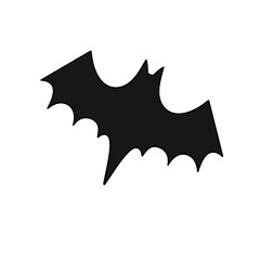 A black bat with its wings spread out