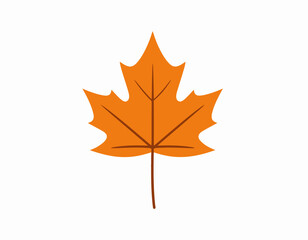 Vibrant Orange Autumn Maple Leaf Illustration.