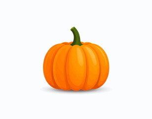 Obraz premium Vibrant Orange Pumpkin with Stem.